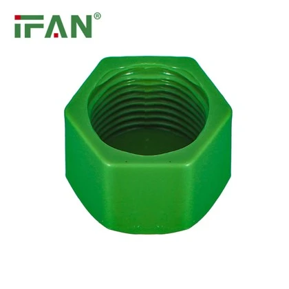 Ifan PPR Fitings Plug
